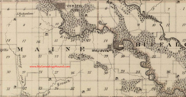 Maine Township, Linn County, Iowa, 1875, Map, Central City, IA