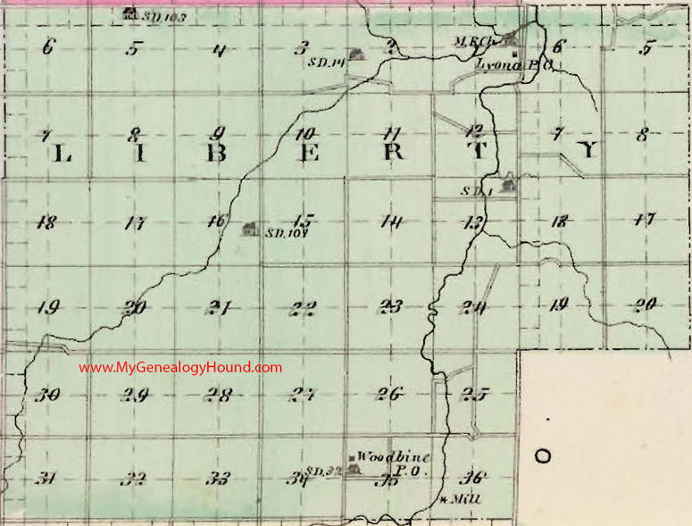 Liberty Township, Dickinson County, Kansas 1887 Map Lyona, Woodbine, KS