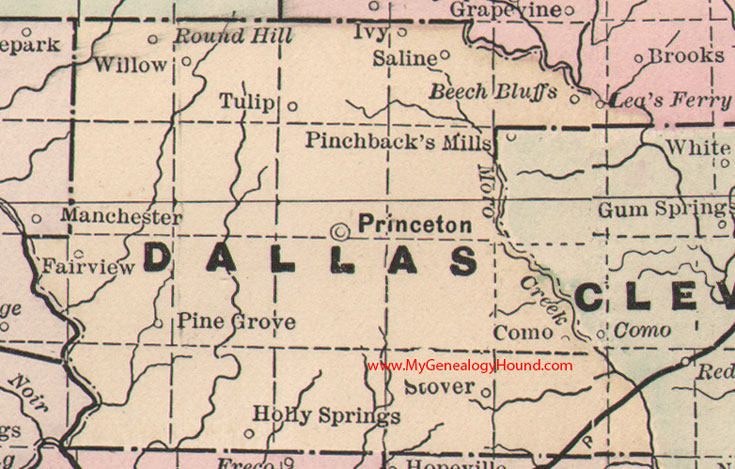 Dallas County, Arkansas Map 1889 Princeton, Ivy, Saline, Tulip, Fairview, Stover, Como, Holly Springs, AR