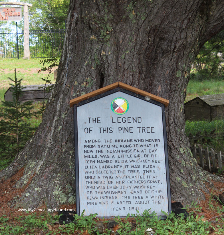 The Legend of the Pine Tree at the Old Indian Burial Ground, Bay Mills, Michigan cemetery.