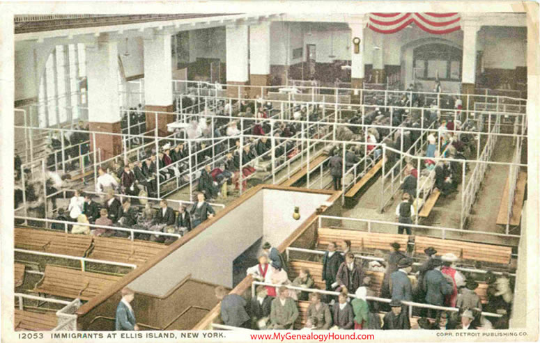 Ellis Island Immigrants in Sorted Areas Vintage Postcard