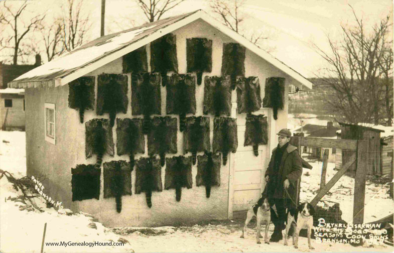 Branson, Missouri,Bethel Serman with his dogs and seasons coon skins, vintage postcard historic photo